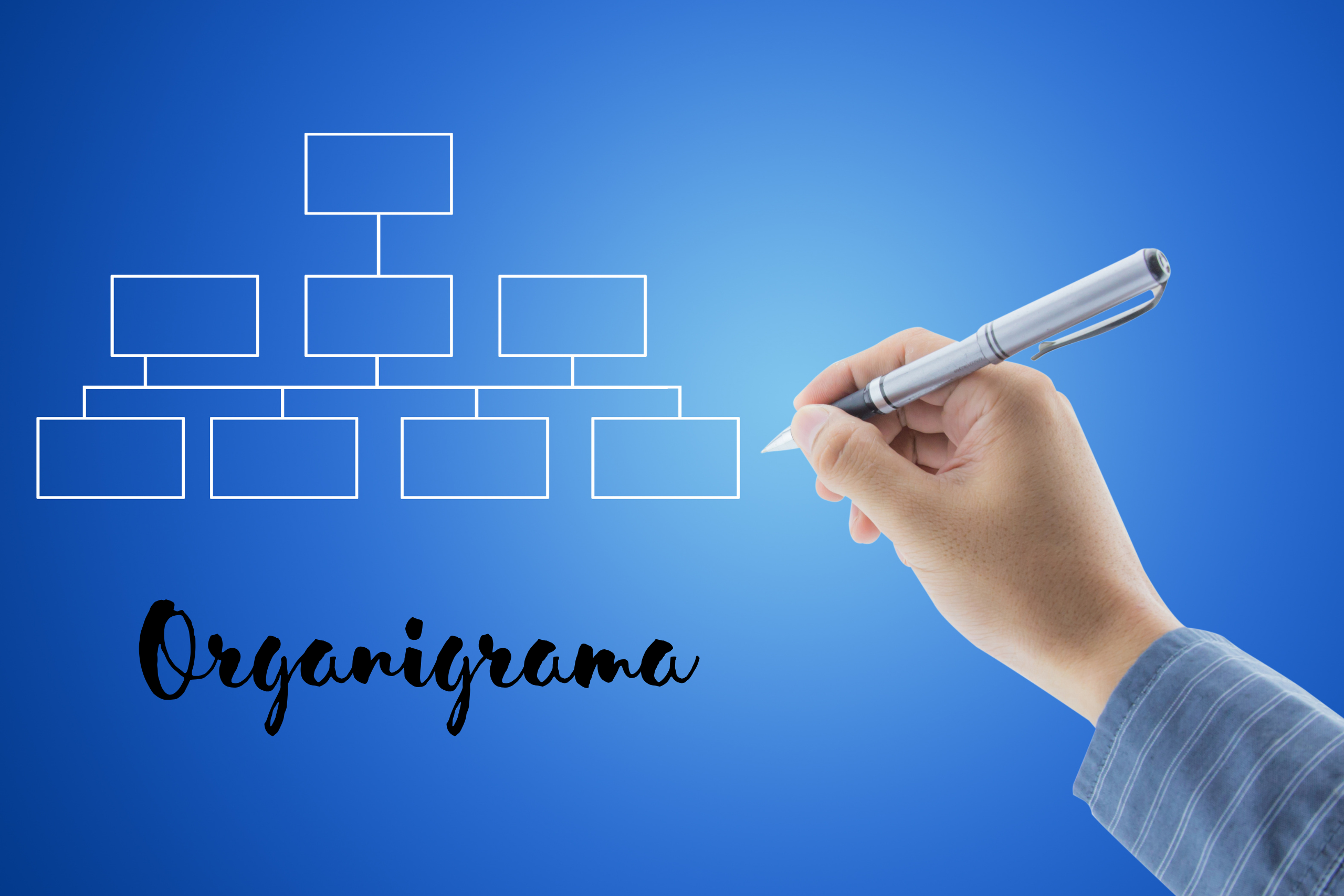 Organigrama-Perfecto